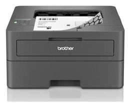 Brother HL-L2400dw